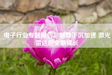 电子行业专题报告：智驾下沉加速 激光雷达迎全新成长