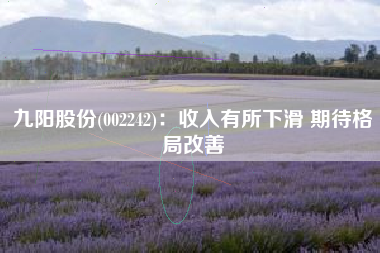 九阳股份(002242)：收入有所下滑 期待格局改善