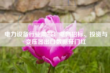 电力设备行业周报：电网招标、投资与变压器出口数据开门红