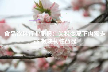 食品饮料行业周报：关税变局下内需走强 板块韧性凸显