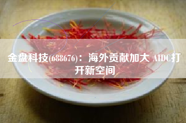 金盘科技(688676)：海外贡献加大 AIDC打开新空间