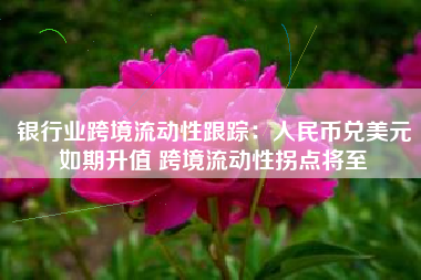银行业跨境流动性跟踪：人民币兑美元如期升值 跨境流动性拐点将至