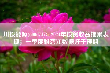 川投能源(600674)：2024年投资收益拖累表现；一季度雅砻江数据好于预期