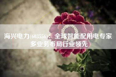 海兴电力(603556)：全球智能配用电专家 多业务布局行业领先