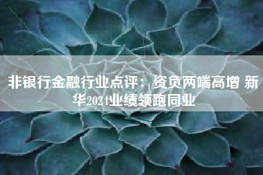 非银行金融行业点评：资负两端高增 新华2024业绩领跑同业
