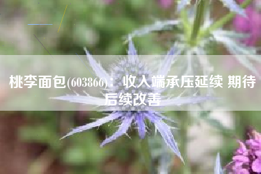 桃李面包(603866)：收入端承压延续 期待后续改善