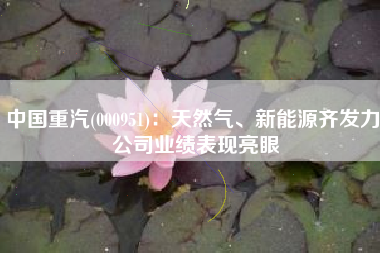 中国重汽(000951)：天然气、新能源齐发力 公司业绩表现亮眼