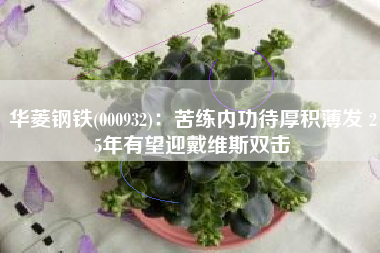 华菱钢铁(000932)：苦练内功待厚积薄发 25年有望迎戴维斯双击