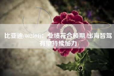 比亚迪(002594)：业绩符合预期 出海智驾有望持续加力