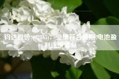 钧达股份(002865)：业绩符合预期 电池盈利逐步修复
