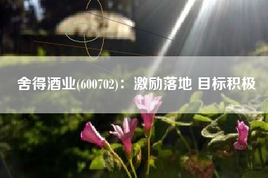 舍得酒业(600702)：激励落地 目标积极