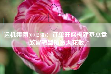 运机集团(001288)：订单旺盛构建基本盘 数智转型拓宽天花板
