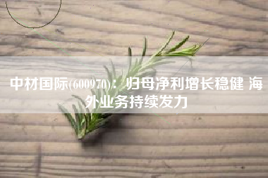 中材国际(600970)：归母净利增长稳健 海外业务持续发力
