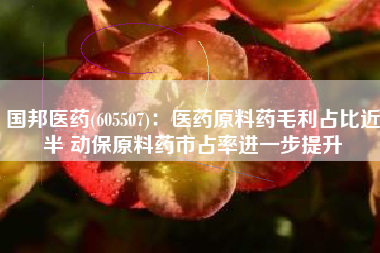 国邦医药(605507)：医药原料药毛利占比近半 动保原料药市占率进一步提升