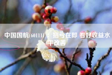 中国国航(601111)：扭亏在即 看好收益水平改善