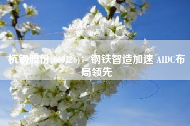 杭钢股份(600126)：钢铁智造加速 AIDC布局领先