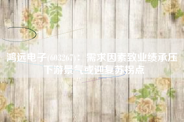 鸿远电子(603267)：需求因素致业绩承压 下游景气或迎复苏拐点