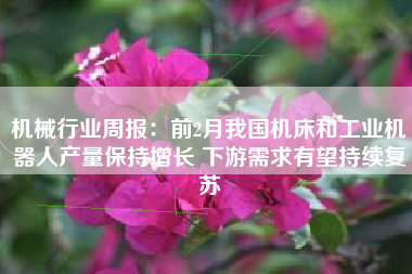 机械行业周报：前2月我国机床和工业机器人产量保持增长 下游需求有望持续复苏