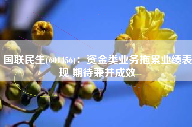 国联民生(601456)：资金类业务拖累业绩表现 期待兼并成效