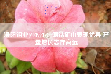洛阳钼业(603993)：铜钴矿山表现优异 产量增长志存高远