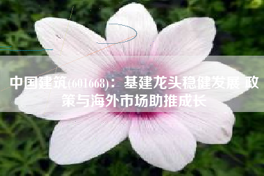中国建筑(601668)：基建龙头稳健发展 政策与海外市场助推成长