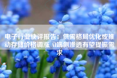 电子行业快评报告：供需格局优化或推动存储价格调涨 AI端侧渗透有望提振需求