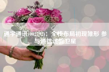 通宇通讯(002792)：全栈布局初现雏形 参与通信试验卫星