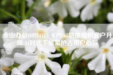 金山办公(688111)：WPS365助推组织客户升级 AI时代下抓紧抢占用户心智