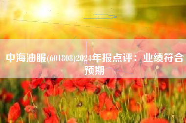 中海油服(601808)2024年报点评：业绩符合预期