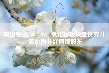 南山铝业(600219)：氧化铝板块量价齐升 高比例分红回馈股东