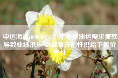 中远海能(600026)：24年外贸油运需求疲软导致业绩承压 继续看好刚性供给下运价弹性
