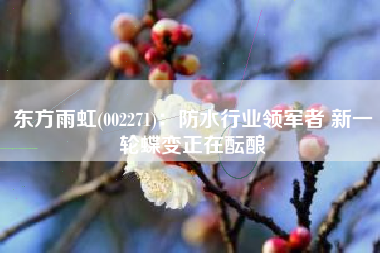 东方雨虹(002271)：防水行业领军者 新一轮蝶变正在酝酿