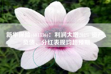 新华保险(601336)：利润大增201% 资产、负债、分红表现均超预期