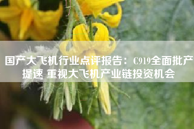 国产大飞机行业点评报告：C919全面批产提速 重视大飞机产业链投资机会