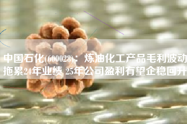 中国石化(600028)：炼油化工产品毛利波动拖累24年业绩 25年公司盈利有望企稳回升