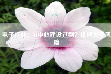 电子行业：AI中心建设过剩？机遇大于风险