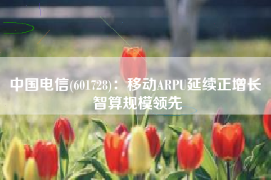 中国电信(601728)：移动ARPU延续正增长 智算规模领先
