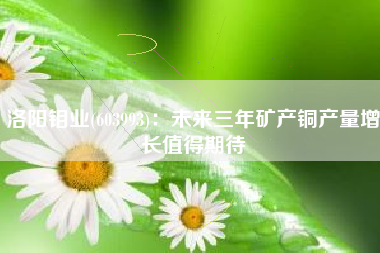 洛阳钼业(603993)：未来三年矿产铜产量增长值得期待