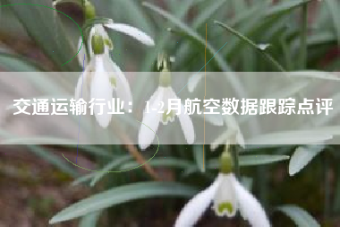 交通运输行业：1-2月航空数据跟踪点评