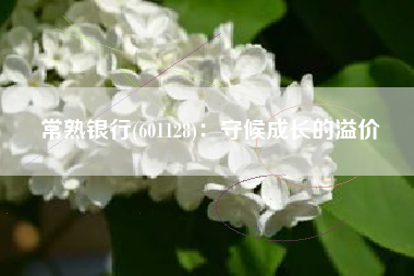常熟银行(601128)：守候成长的溢价