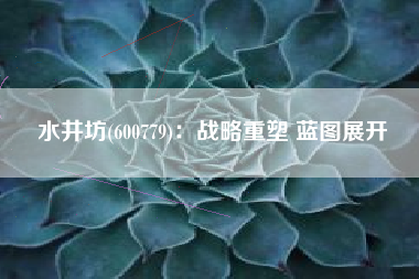 水井坊(600779)：战略重塑 蓝图展开