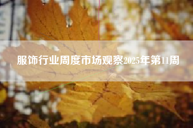 服饰行业周度市场观察2025年第11周