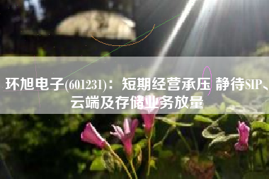 环旭电子(601231)：短期经营承压 静待SIP、云端及存储业务放量