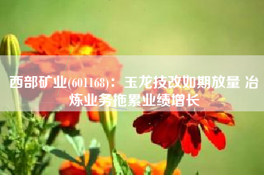 西部矿业(601168)：玉龙技改如期放量 冶炼业务拖累业绩增长