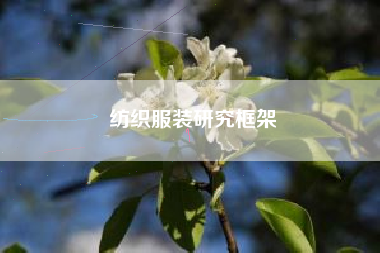 纺织服装研究框架
