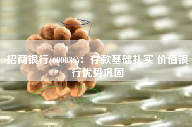 招商银行(600036)：存款基础扎实 价值银行优势巩固