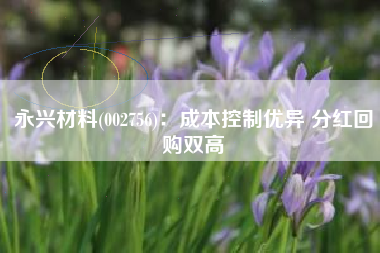 永兴材料(002756)：成本控制优异 分红回购双高