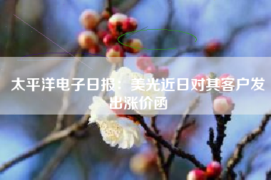 太平洋电子日报：美光近日对其客户发出涨价函