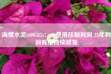 海螺水泥(600585)：4Q费用压制利润 25年利润有望持续修复