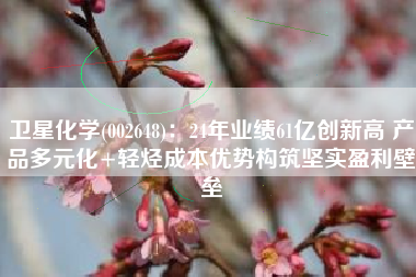 卫星化学(002648)：24年业绩61亿创新高 产品多元化+轻烃成本优势构筑坚实盈利壁垒